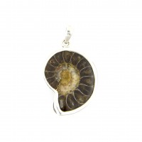 Anhänger aus Ammonit, silber gefasst, 27 mm - 42 mm